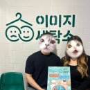 수정세탁소 | [방탈출] 서울 홍대 비트포비아 던전 Ⅲ- 이미지 세탁소