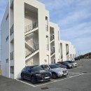 구룡포침구 | 포항 구룡포 애견동반 숙소 '화이트7' 오션뷰 E201호 후기