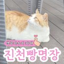 백곡2 | 충북 진천 백곡저수지 베이커리 카페 진천빵명장