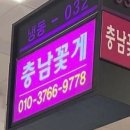 충남꽃게