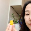 달콤’C미술학원씨 | 가성비 끝판왕! 비타씨캔디 1.5kg 대용량 솔직 후기