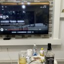 담양버치 이미지