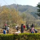 추곡초등학교 이미지