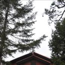 남동목장 이미지