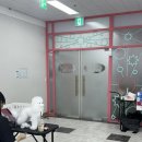 옥천애견미용 이미지