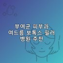 청담플러스의원 | 부여군 피부과 병원 추천 여드름 보톡스 필러 리스팅후기 TOP5 추천하는곳