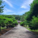 광주 포충사 - 20250720 이미지