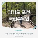 맑은동산단기보호센터 | 포천국립수목원 예약 주차 가을 아이와 가볼만한곳 단풍 절정은?