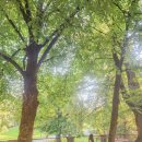 문화한바퀴(나종사랑) | [오스트리아 여행] 잘츠부르크 한바퀴 : 미라벨정원, 게트라이데 거리, 카라얀 생가, 잘츠부르크 투어 추천