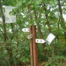 용인정신병원 이미지