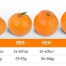 일표농장 이미지