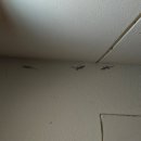 (주)위메드 | [이시가키 여행] 1일차 - 인천 출발, 클럽메드 카비라 체크인