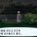 썬목장 이미지