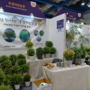 가락동농산물 이미지