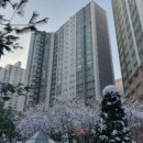 호평파라곤아파트 네이버블로그