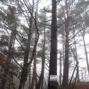 덕풍산장 이미지