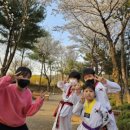 용인대홍익태권도장 네이버블로그