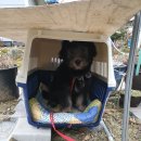 종합가축약품 이미지