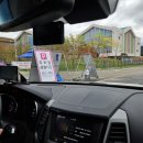 수유농원 | 양주 가볼만한곳 나리농원 입장료 주차 실시간 개화