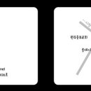 러블릿캔넬 이미지