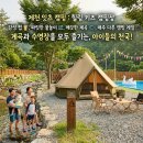 잇츠 캠핑 | 제천 키즈 캠핑장 추천 잇츠캠핑! 계곡·수영장·이벤트·야간 펍까지 내돈내산 솔직후기