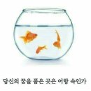 코이 - 미추홀구 경인로 158 | 코이
