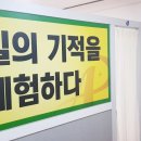 플라즈마힐링센타