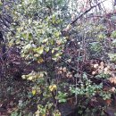 다대포항역 이미지