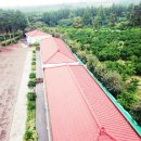 초록마을펜션 이미지