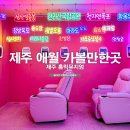 위트레이드 | 제주 애월 가볼만한곳 후기 제주도 실내 관광지
