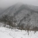 삼봉산곶감농원