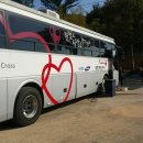 포항여자고등학교 이미지