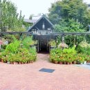 타샤의 정원 | 파주 심학산 맛집 뛰어났던 타샤의정원