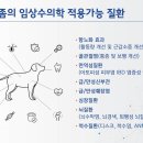 대구동물메디컬센터
