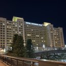 삼일목욕탕 | 오사카 유니버셜 포트 호텔 후기 🏨 | 로얄룸 15층 솔직 리뷰 (이박삼일)