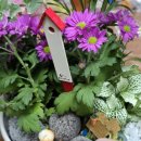 힐링원예 가드닝 이미지