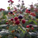 무진장여객자동차주식회사 이미지