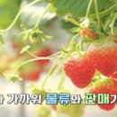 장어농장 이미지