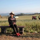 정모농장 이미지