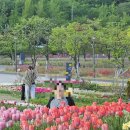 이천공원 | 주말에 산책, 러닝하기 좋은 이천 설봉공원 방문 후기