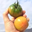 돈구농장 이미지