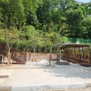 남동근린공원(구) 이미지