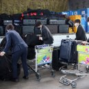 가자남쪽나라 이미지