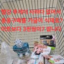 심목청과
