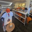 온더비치 | 제주 인카페온더비치 솔직후기-수영·커피·포토존 다 되는 해변카페(내돈내산)