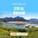 강원 지디넷코리아