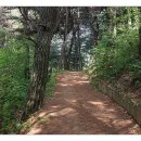 비학산 누리길 이미지