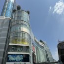 양강농장 | 아이랑 태국한달살기 4일차::아유타야 선셋투어 오후투어 찐 후기