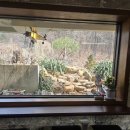 광교산로 | 수원 광교산 카페 🌿 야외정원 감성 끝판왕 ‘리틀커피하우스’ 내돈내산 솔직후기