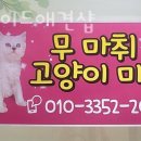 도그에이드 이미지